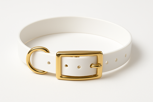 White Rubber collar with gold belt buckle for dogs